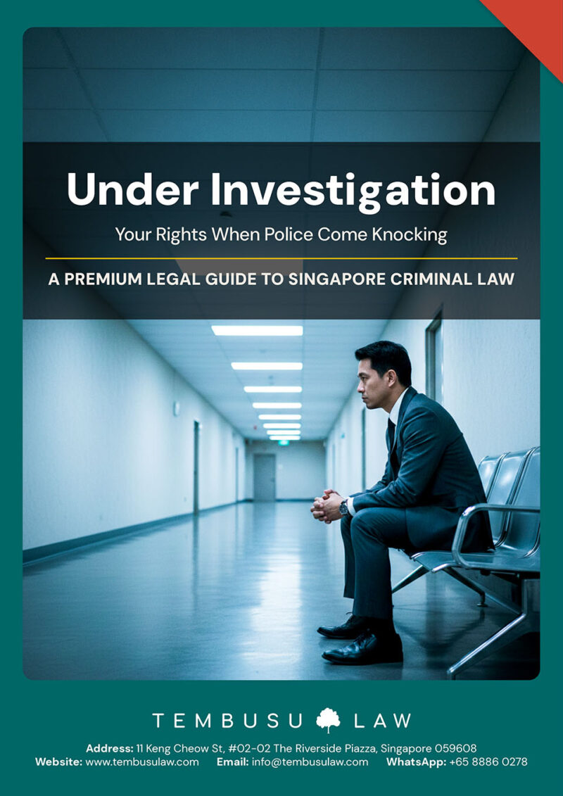 Under Investigation | Tembusu Law Premium Legal Guides